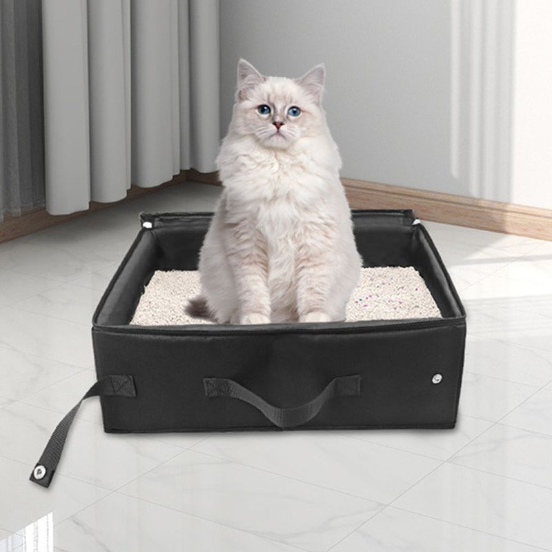 Collapsible Litter Box