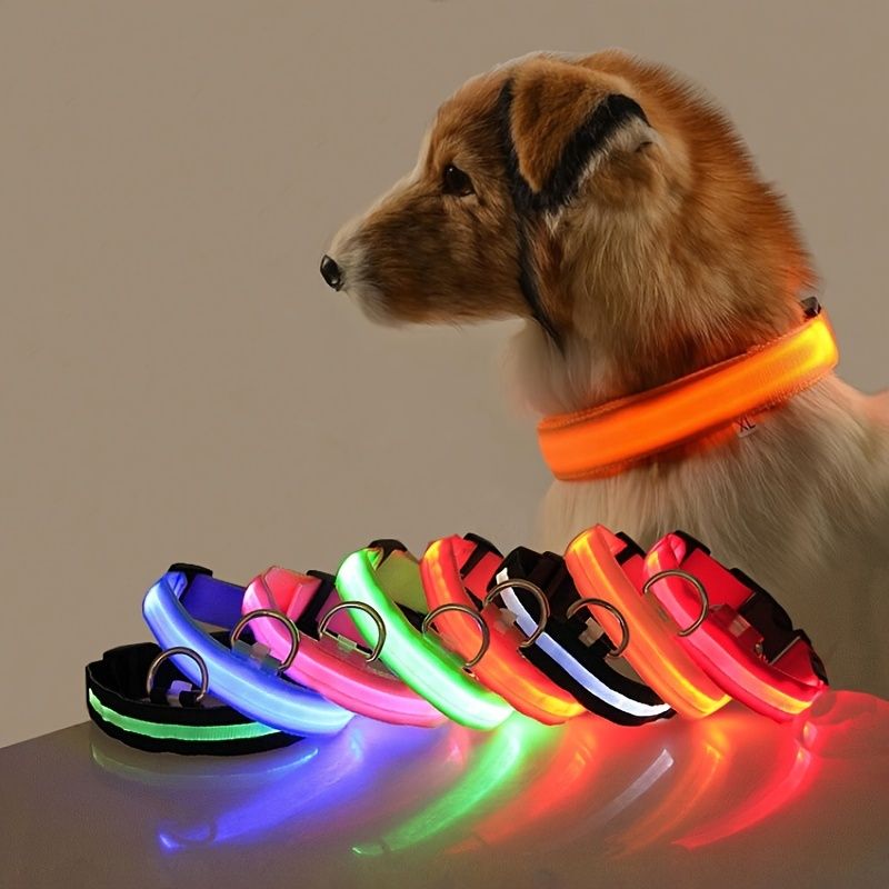 Dual LED Dog Leash
