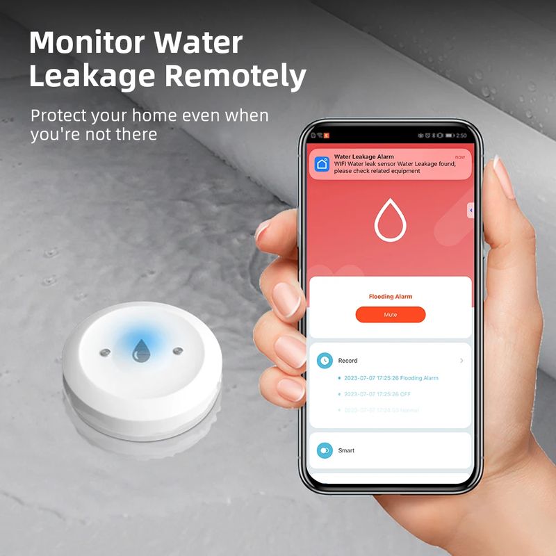 Water Leak Sensor